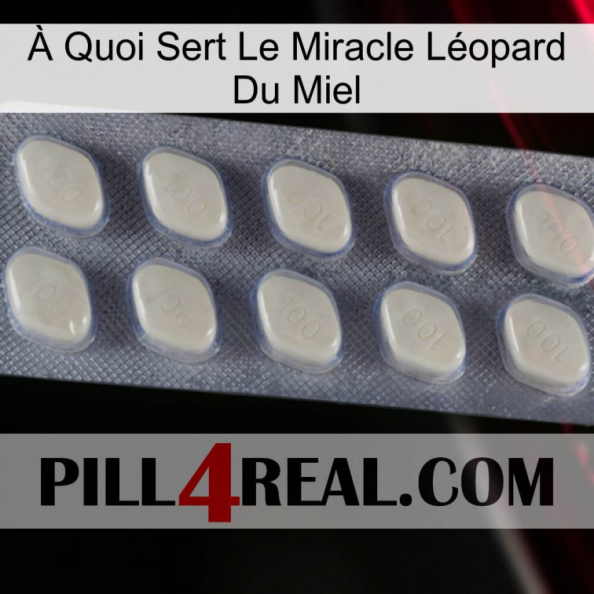 À Quoi Sert Le Miracle Léopard Du Miel 08.jpg
